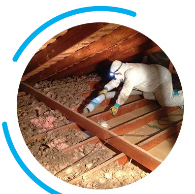 Insulation Removal