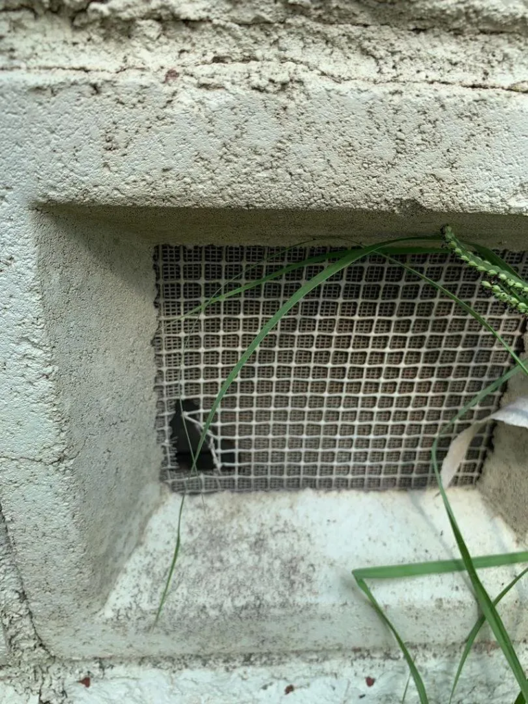 Rat chewed vent covers