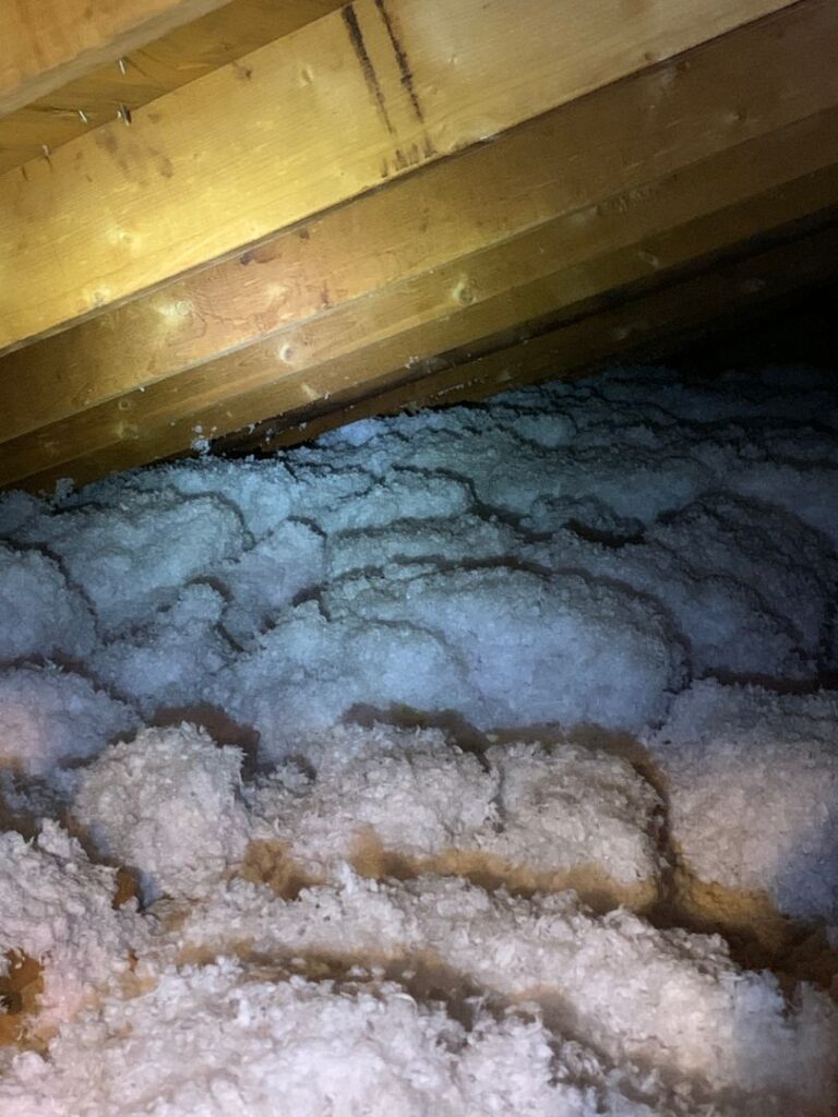 Critter pathways in attic insulation