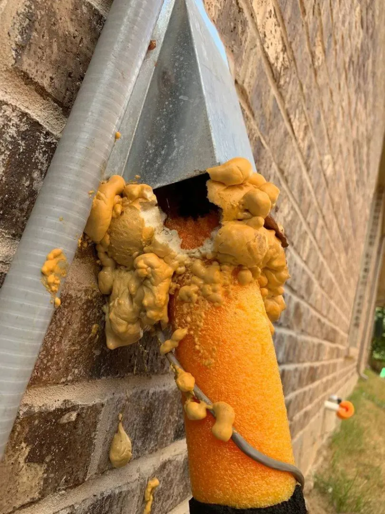 Critter infestation - Spray foam damage
