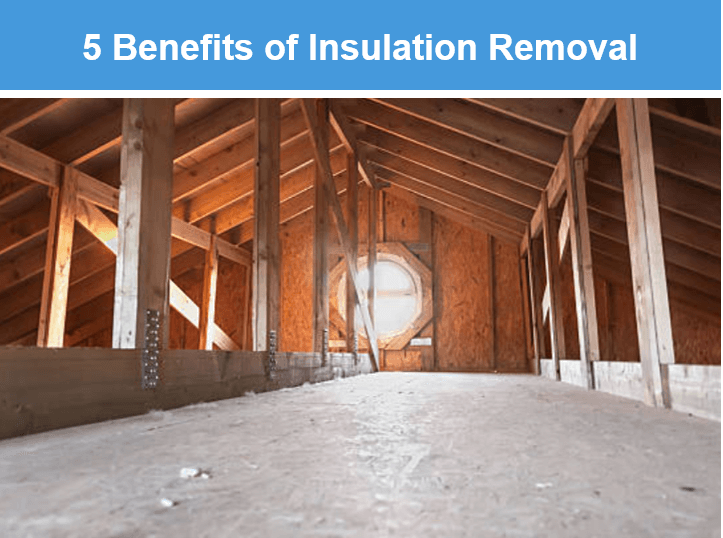Benefits of Insulation Removal