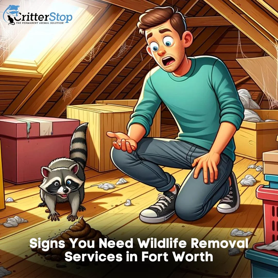 Signs You Need Wildlife Removal Services in Fort Worth