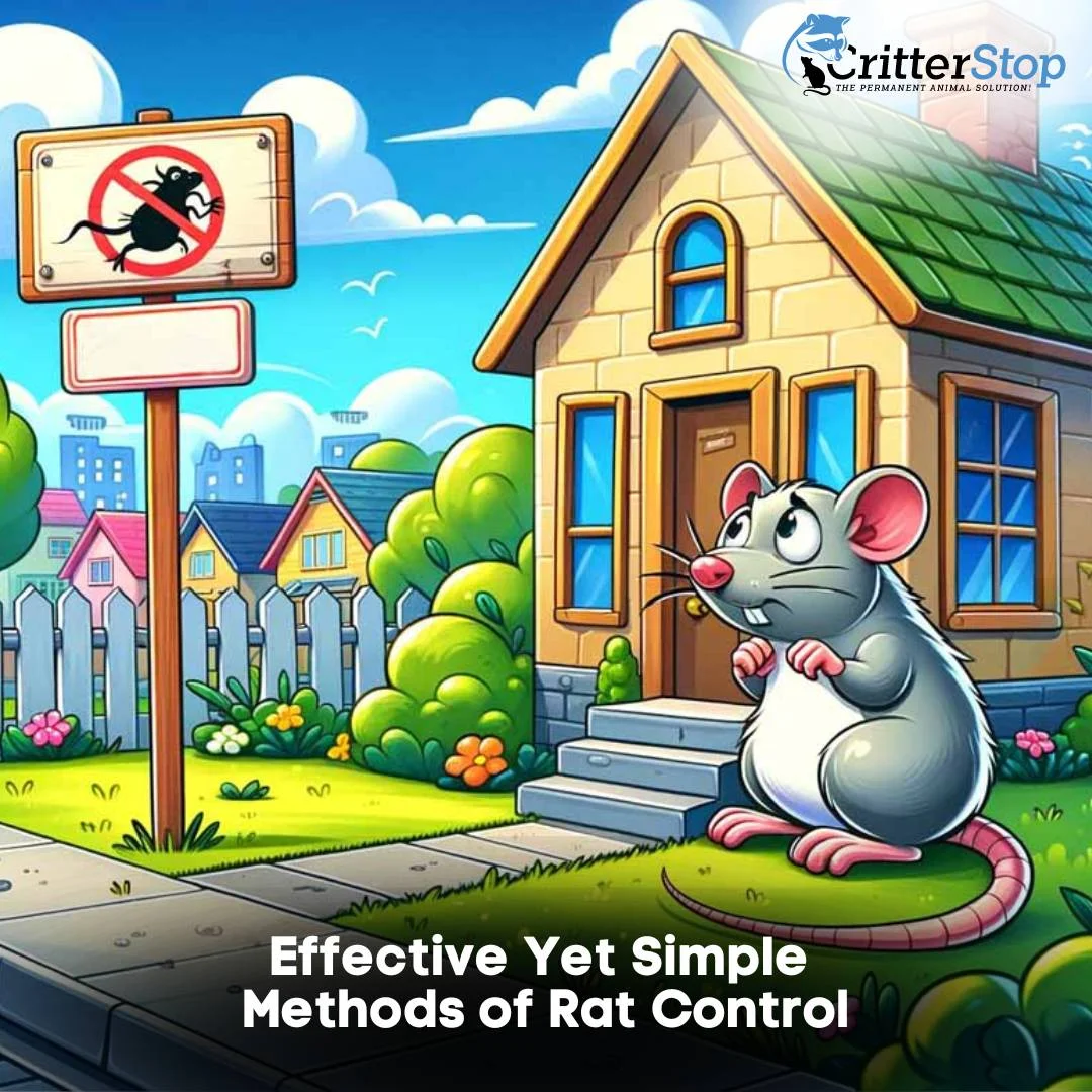 Effective Yet Simple Methods of Rat Control