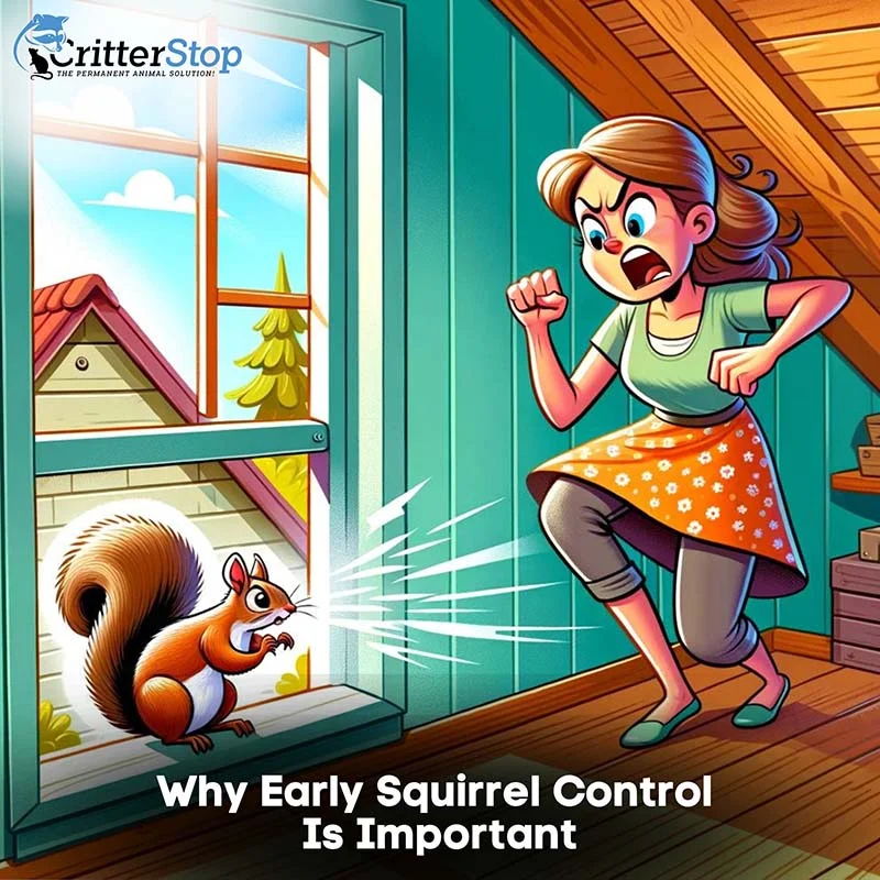 Why Early Squirrel Control Is Important