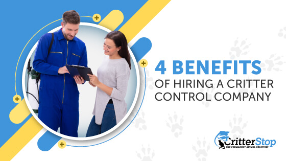 Four Benefits of Hiring a Critter Control Company