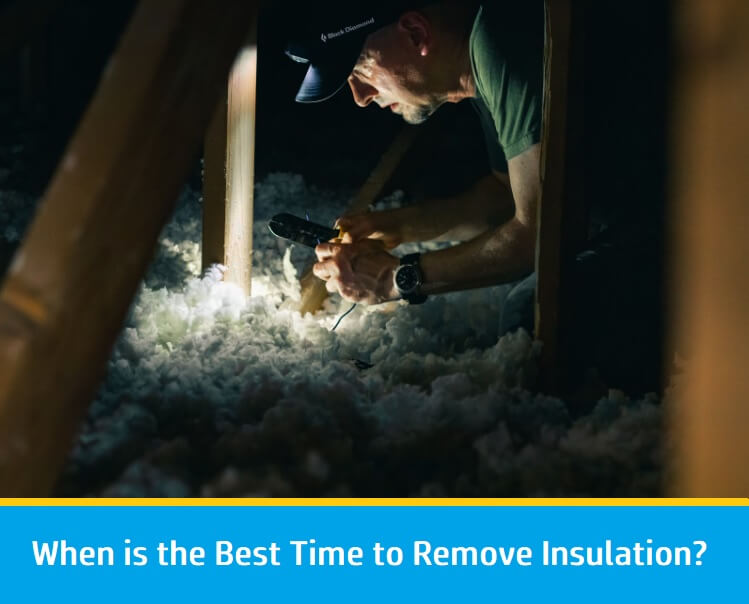 Best Time to Remove Insulation