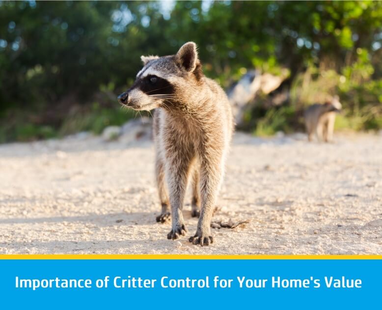 The Importance of Critter Control