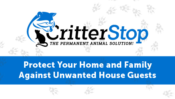 Protect your Home from Critters