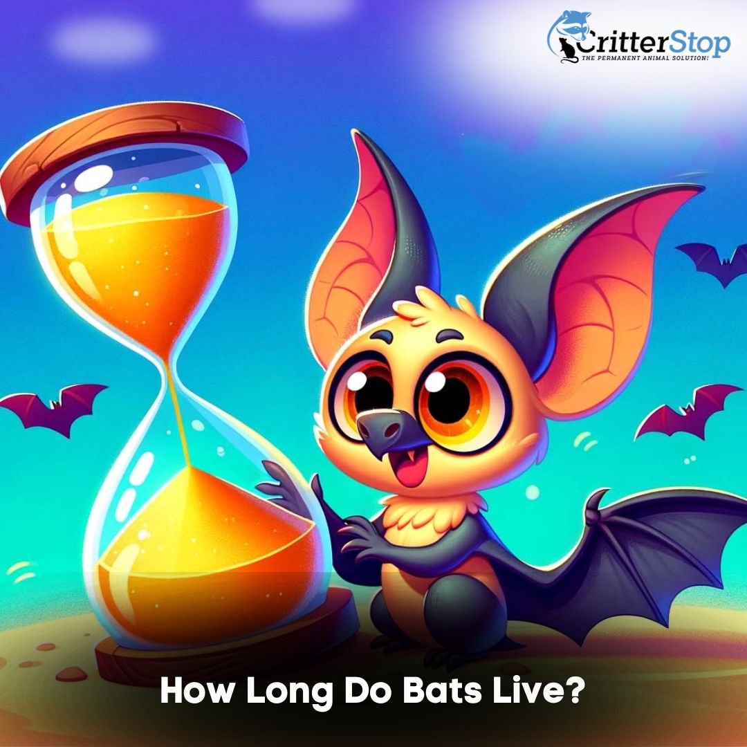 How Long Do Bats Live?