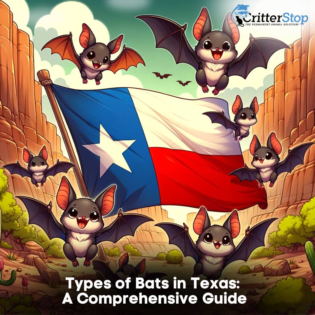 Types of Bats in Texas: A Comprehensive Guide