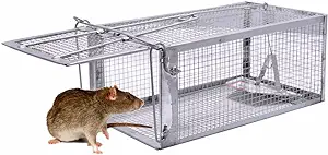 Live trap rat