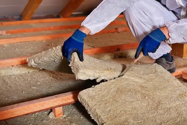attic Insulation removal