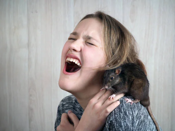 Rat Bites a Girl