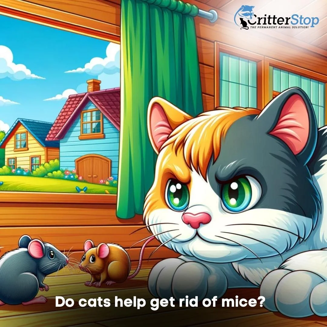Do-cats-help-get-rid-of-mice