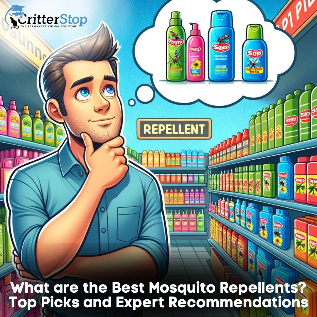 What are the Best Mosquito Repellents?