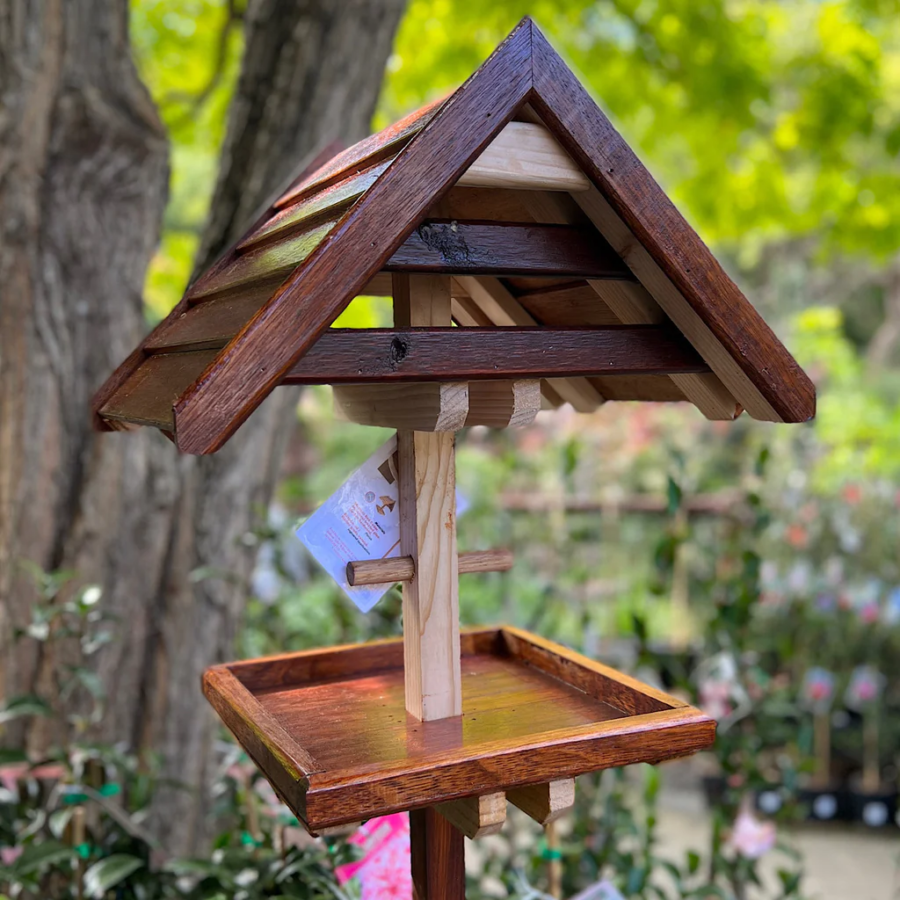 How to Keep Squirrels Off a Bird Feeder | Critter Stop