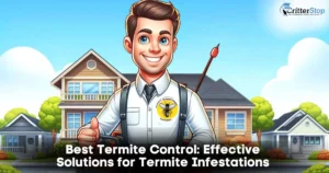 Best termites control