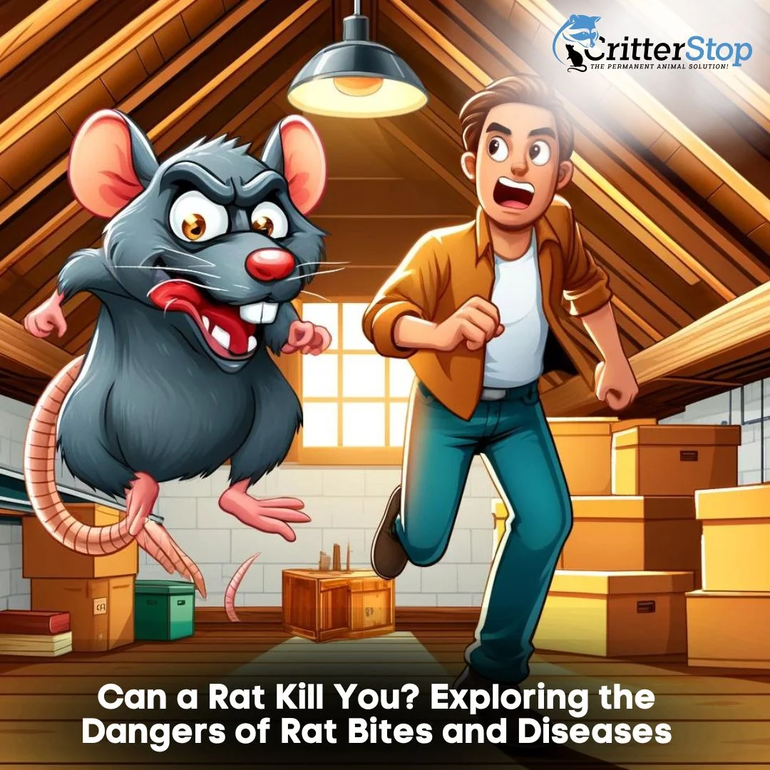 Can rat kill you?