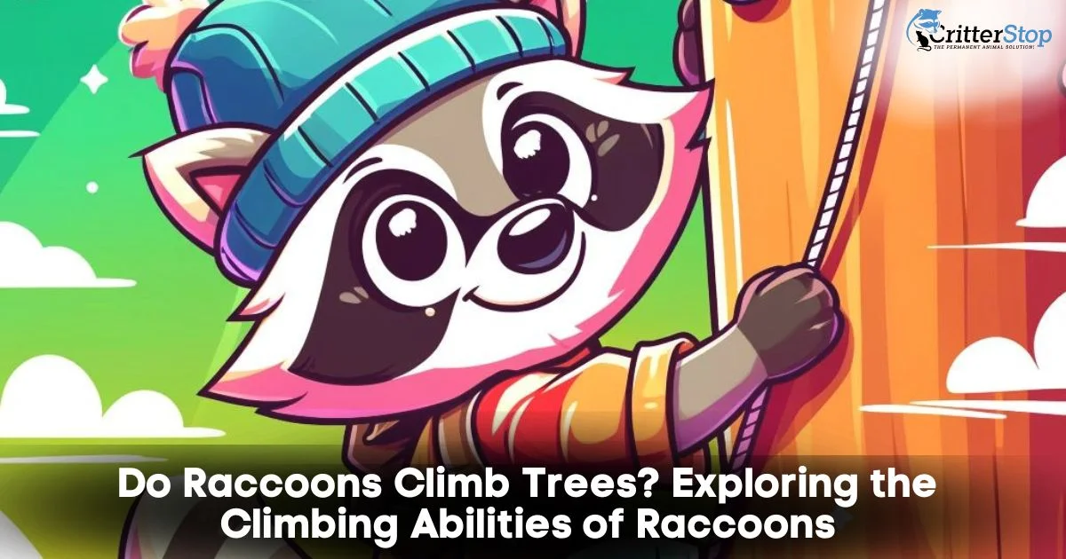 Do Raccon Climb Trees?