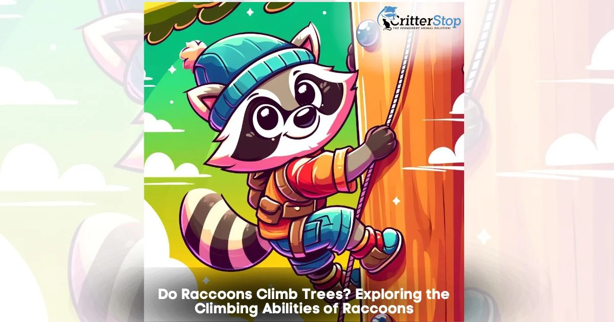 Do Raccon Climb Trees?