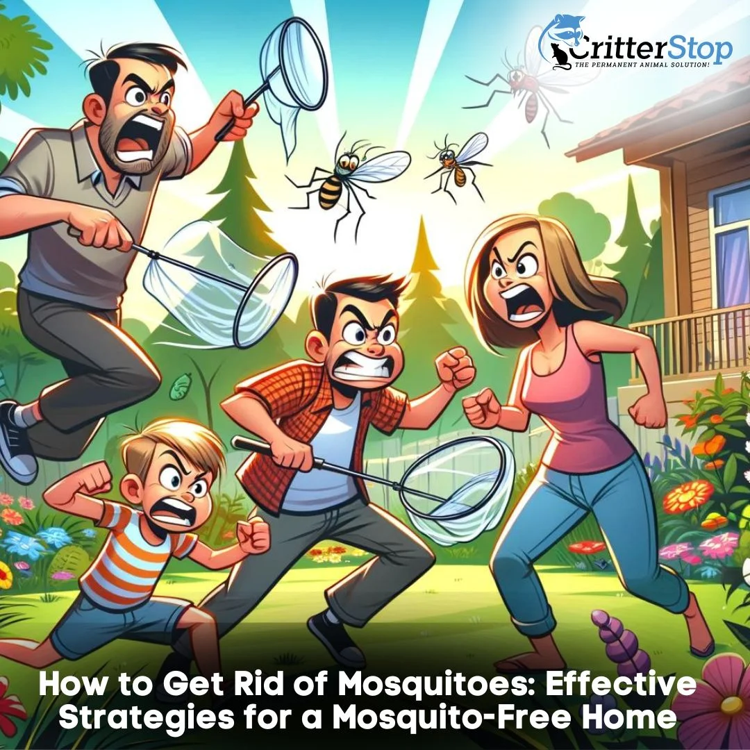 How-to-Get-Rid-of-Mosquitoes-Effective-Strategies-for-a-Mosquito-Free-Home