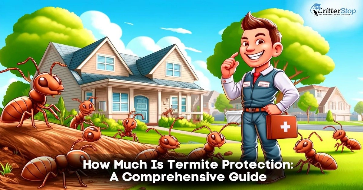 termite protection cost