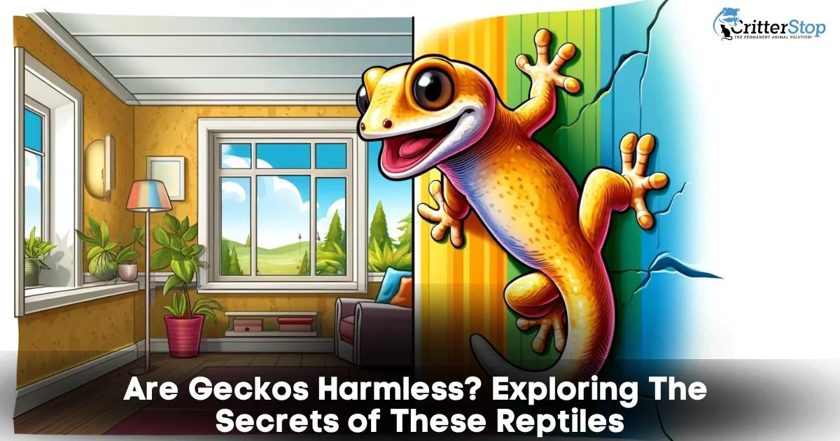 Are Gecko harmless?