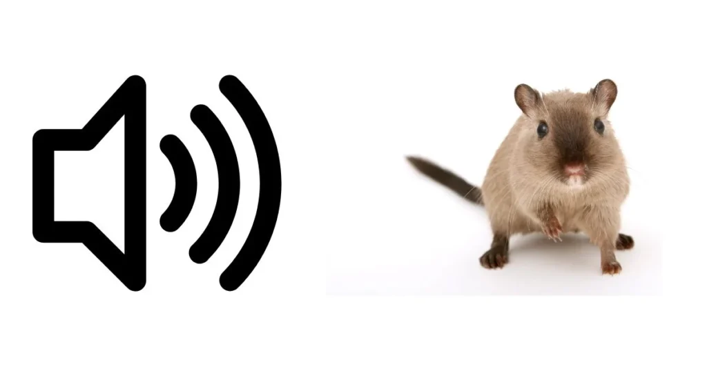 Mouse Sounds To Attract Mice