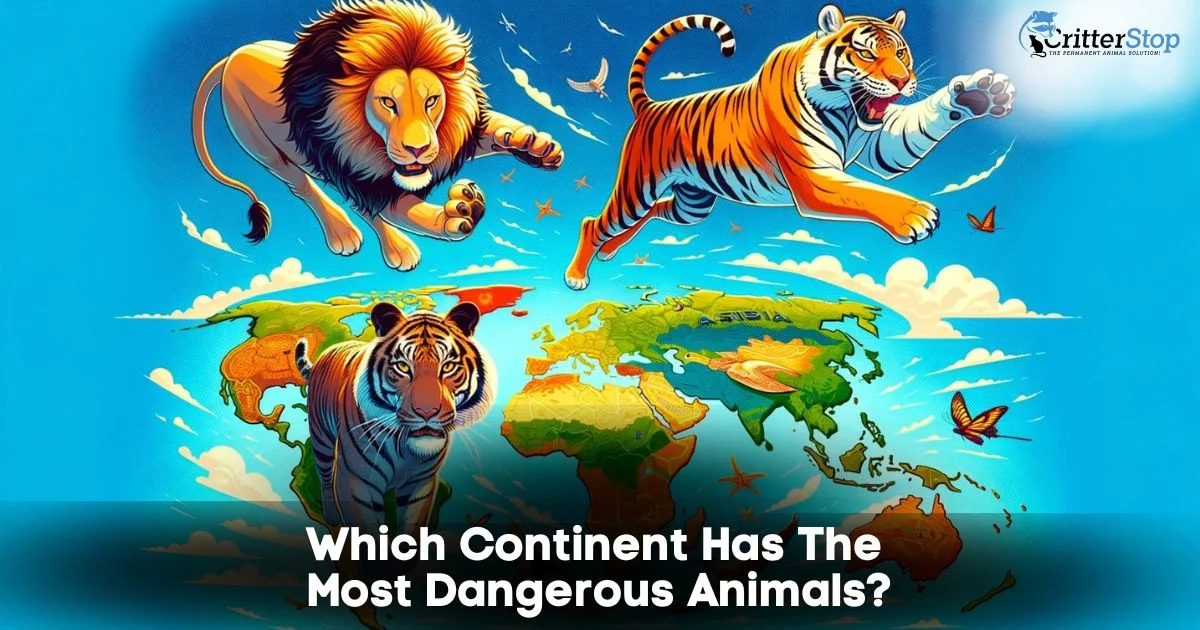 Most dangerous animals in the world