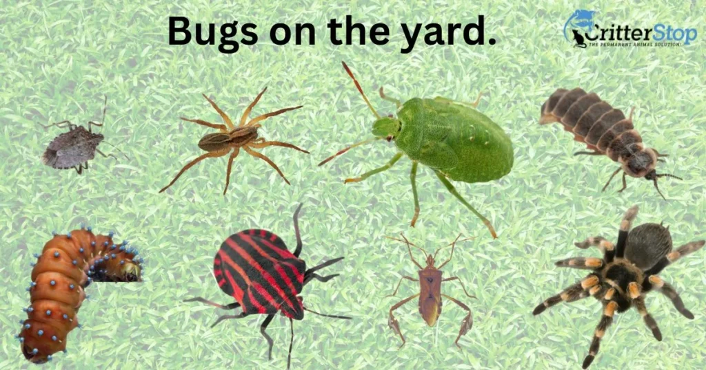 outdoor bug deterrent
