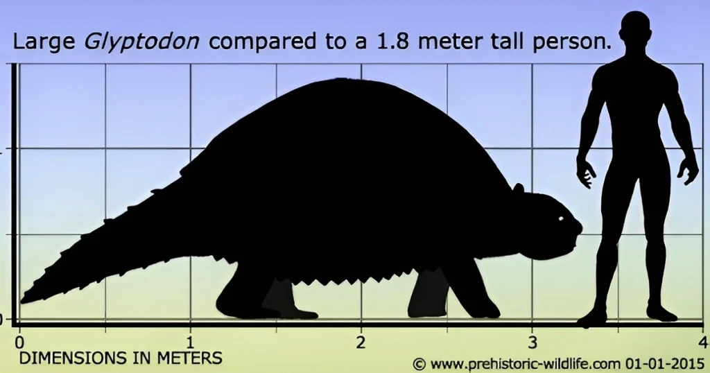 large armadillo