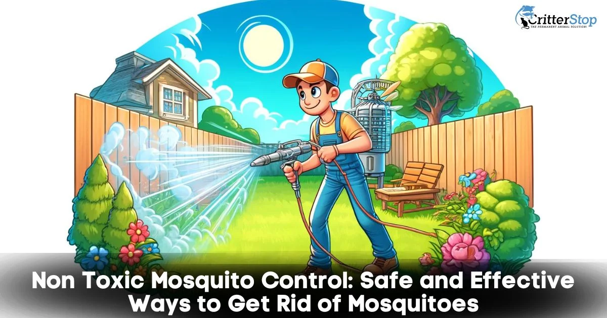 Non toxic mosquito control