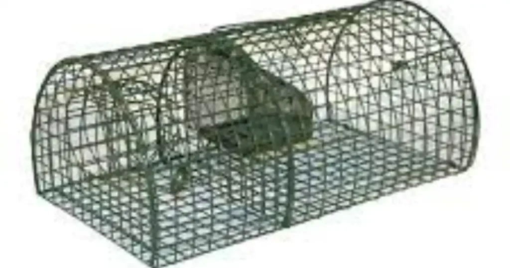 mouse rat traps