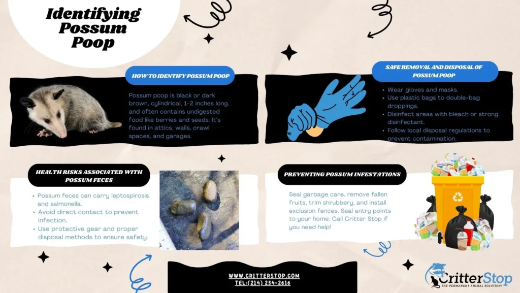 possum poop images