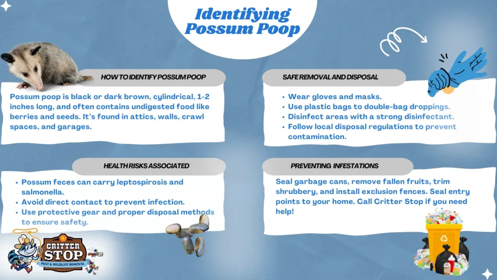 Comprehensive Guide to Possum Poop Images and Identification Comprehensive Guide to Possum Poop Images and Identification