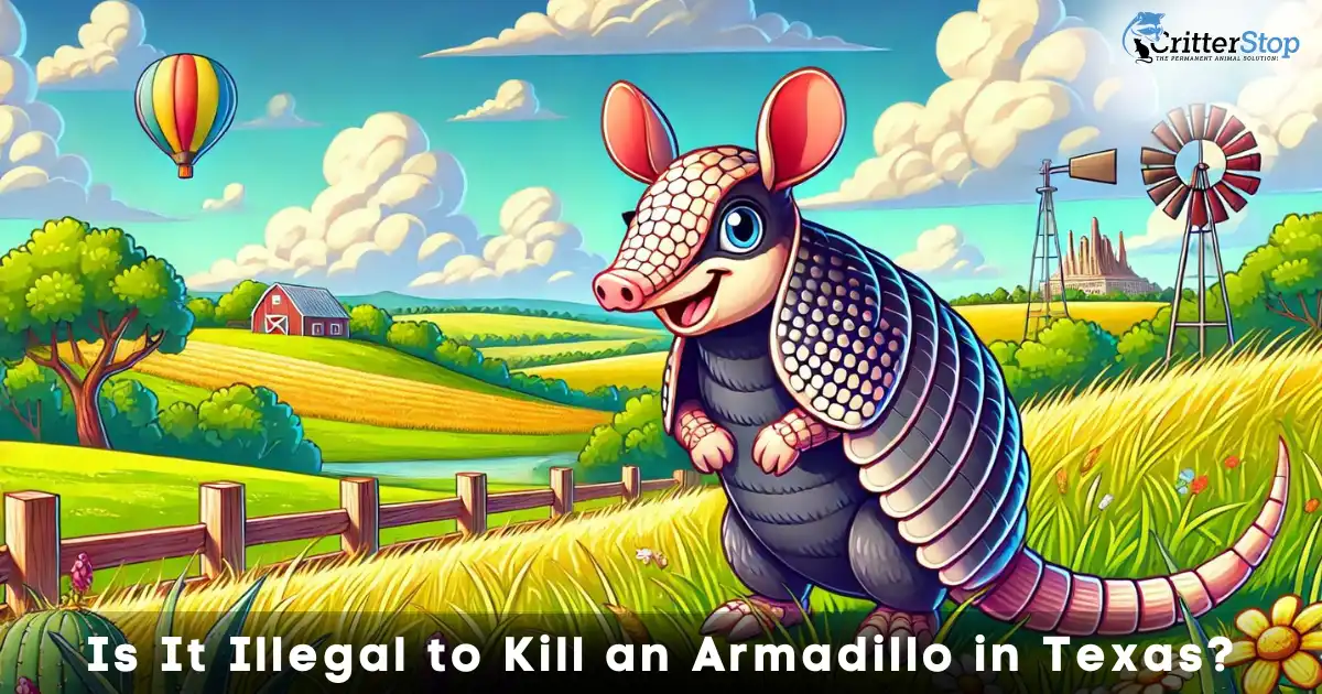 Is It Illegal to Kill an Armadillo in Texas