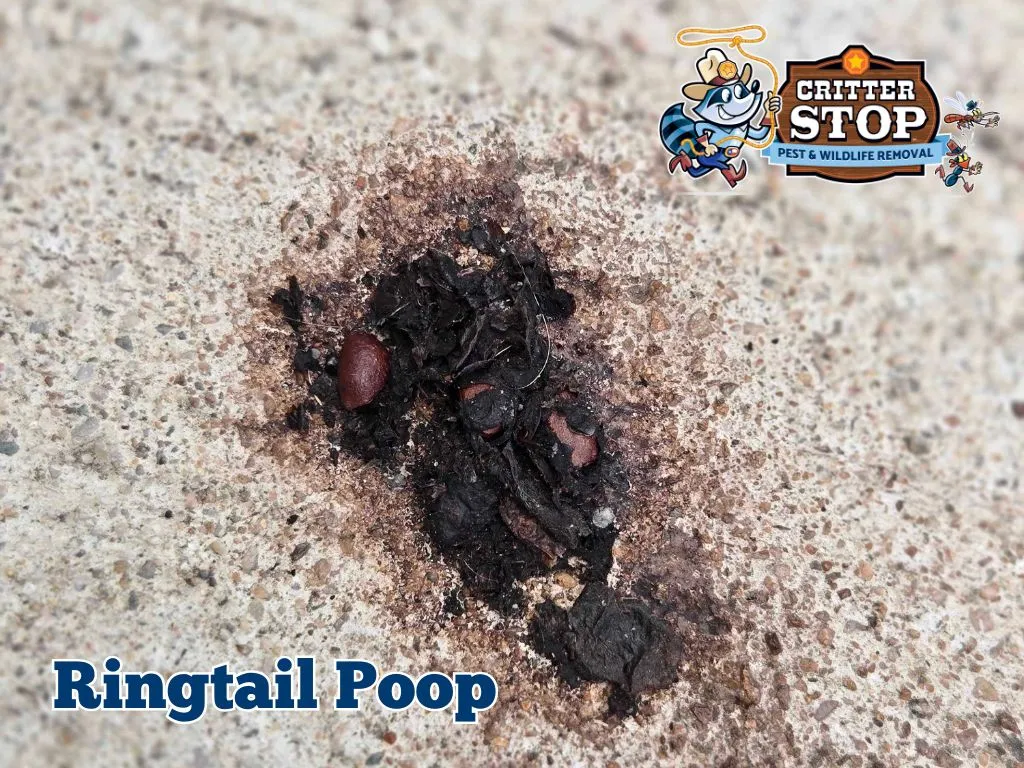 Animal Poop Identification: A Visual Guide Animal Droppings Identification Pictures: A Visual Guide