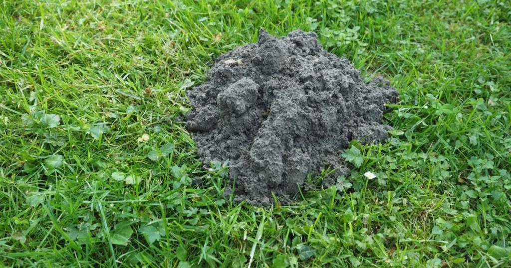 how to get rid of ground moles with vinegar
