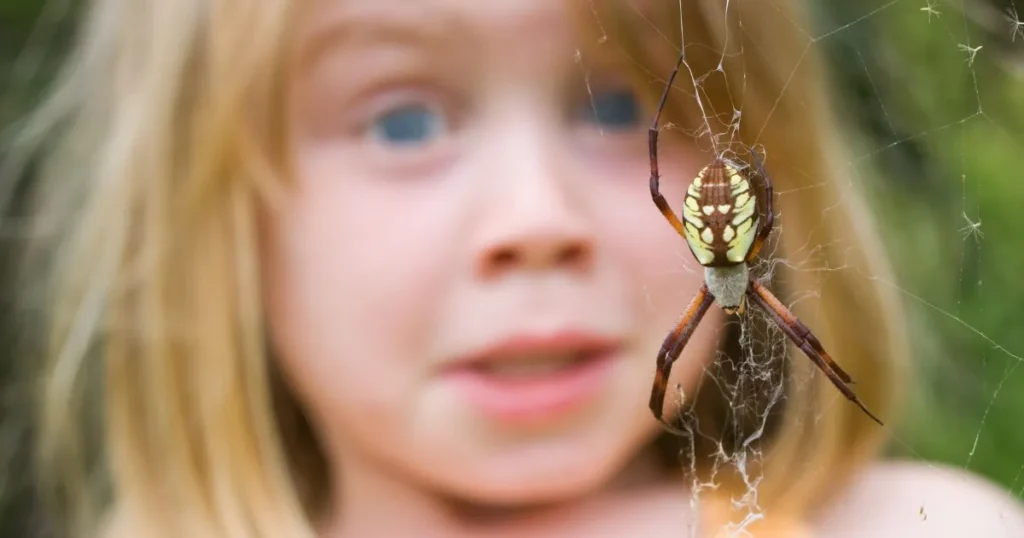 how to keep spiders away from bed
