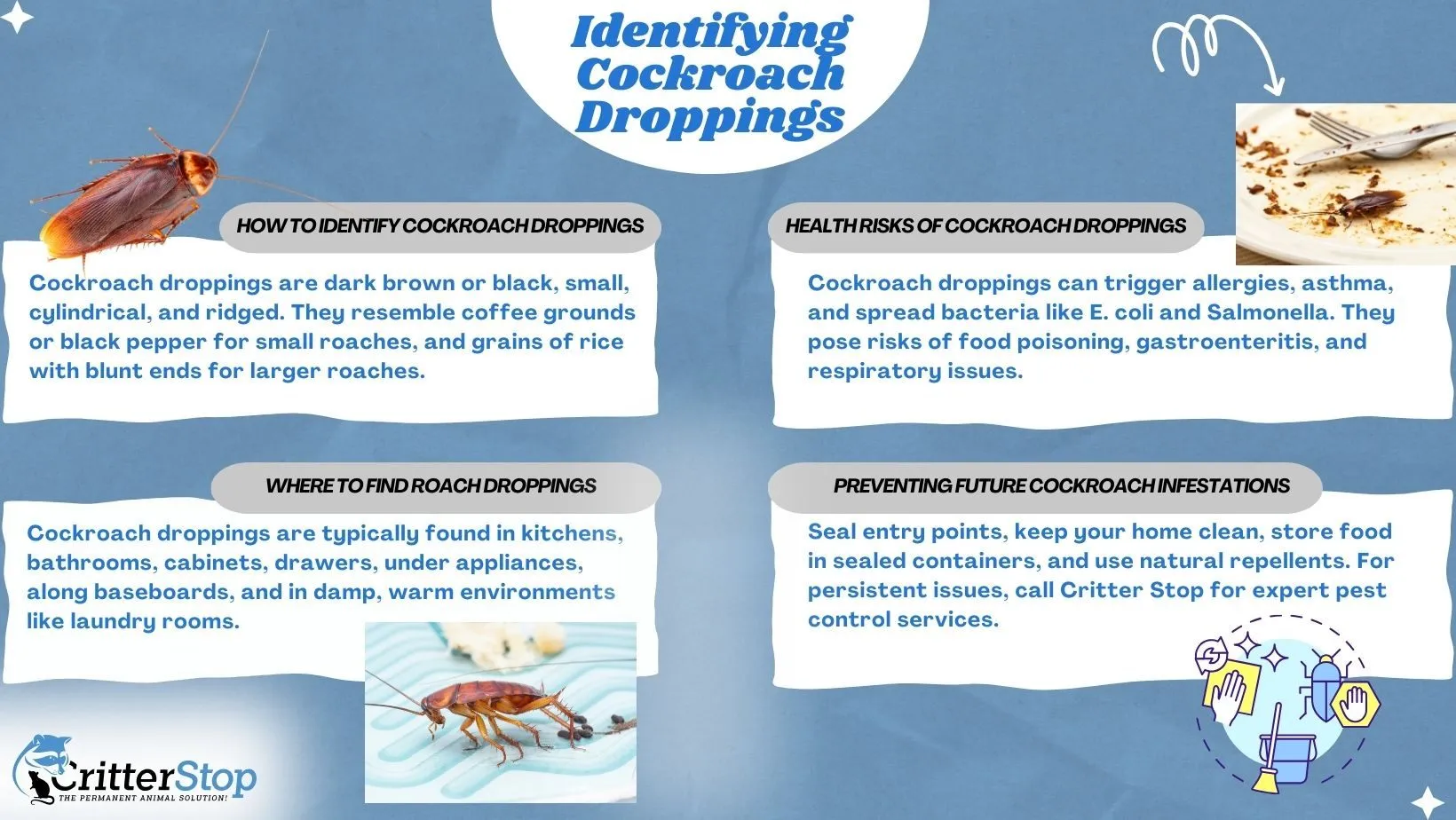 How to Identify Cockroach Droppings and What to Do Next How to Identify Cockroach Droppings and What to Do Next
