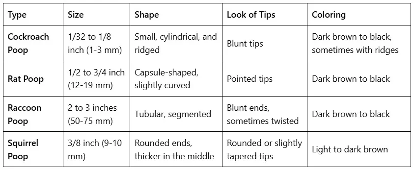 How to Identify Cockroach Droppings and What to Do Next How to Identify Cockroach Droppings and What to Do Next