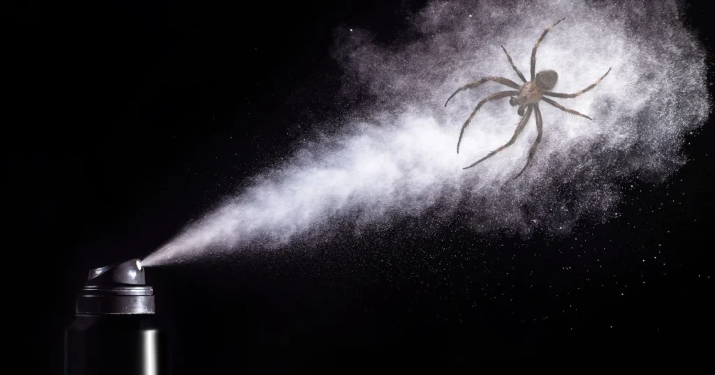 what scents keep spiders away
