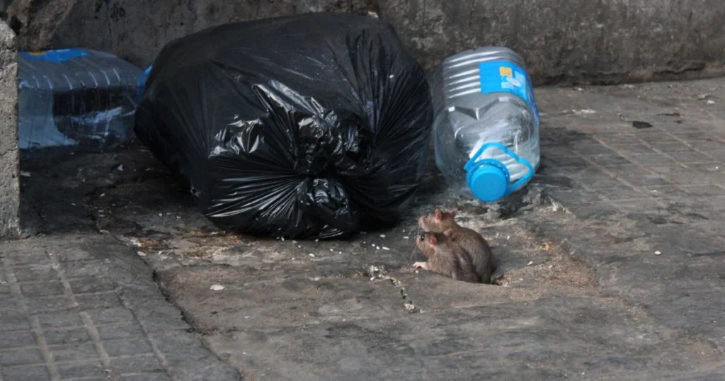 rat proof outdoor garbage cans
