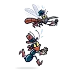 Pest Control & Wildlife Removal Critters