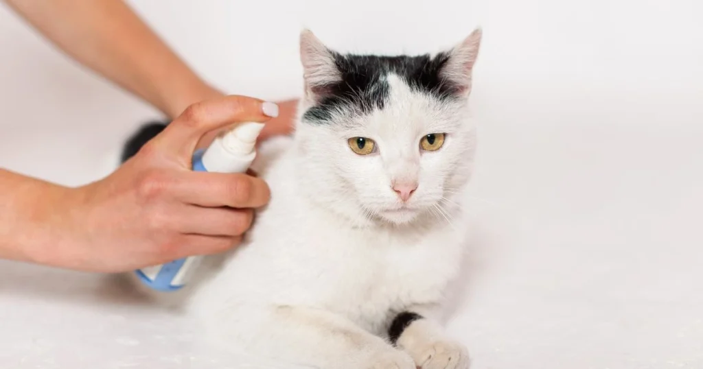 flea spray for kittens under 12 weeks