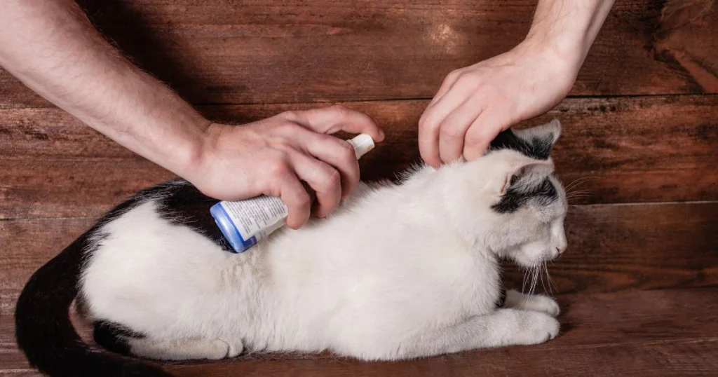 flea spray for kittens under 12 weeks