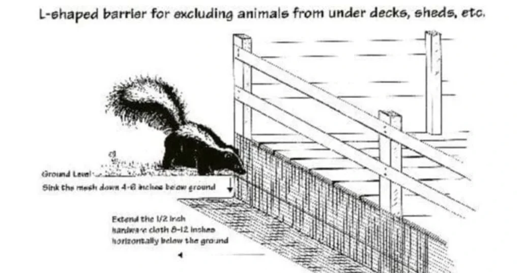 skunk barrier