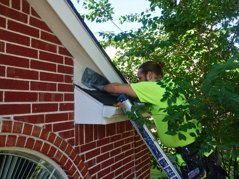 Hear From Our Clients: Wildlife Removal & Pest Control Reviews 7