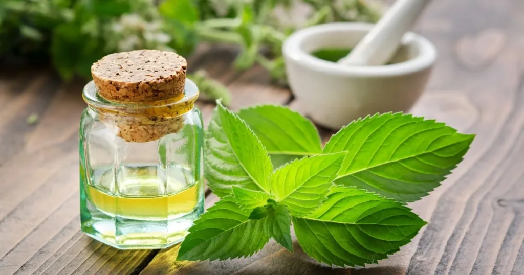 peppermint oil and mice