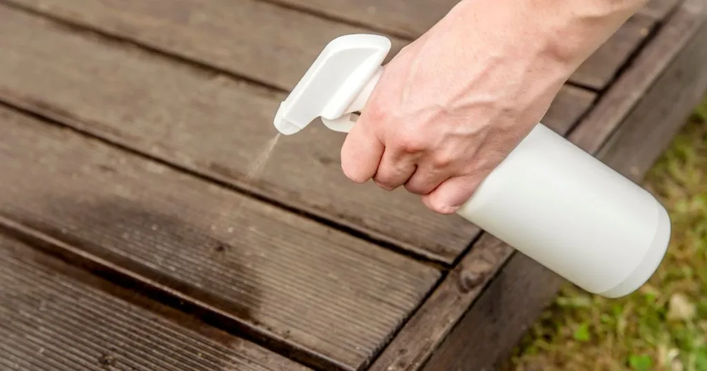 raccoon repellent spray